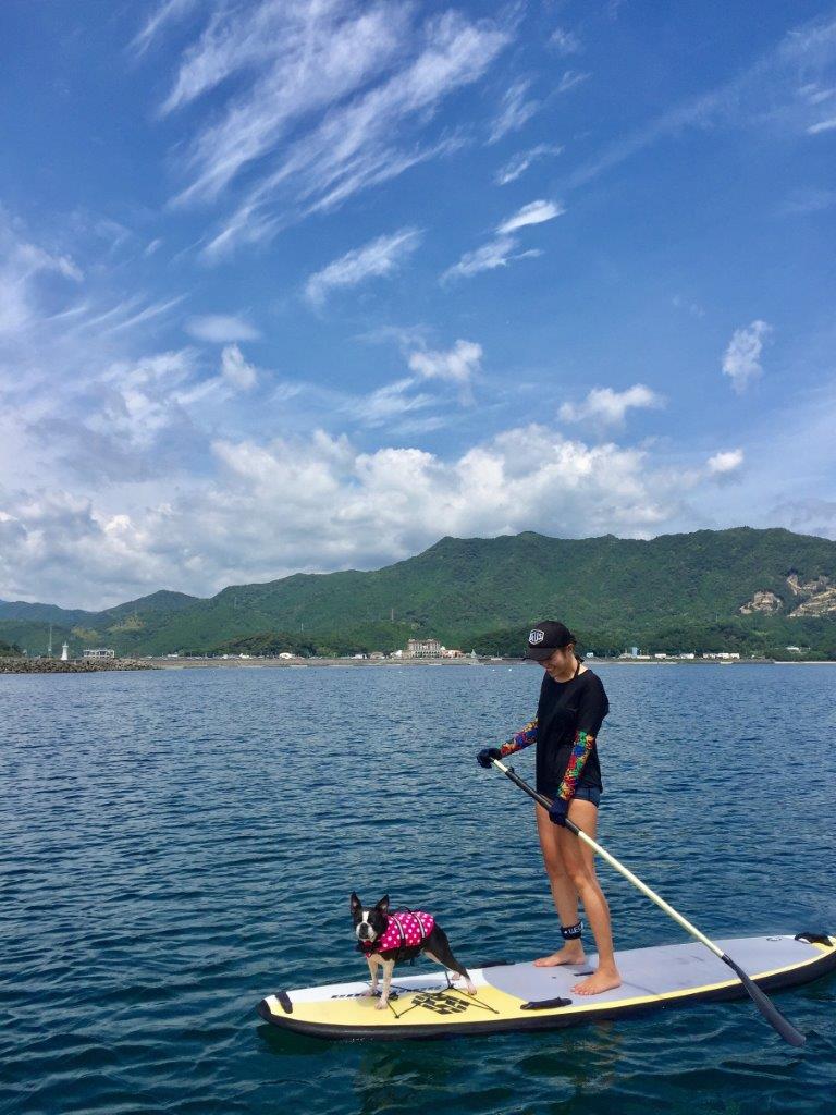 �������Ƒ��̈���A�y�����𕪂��������܂��B