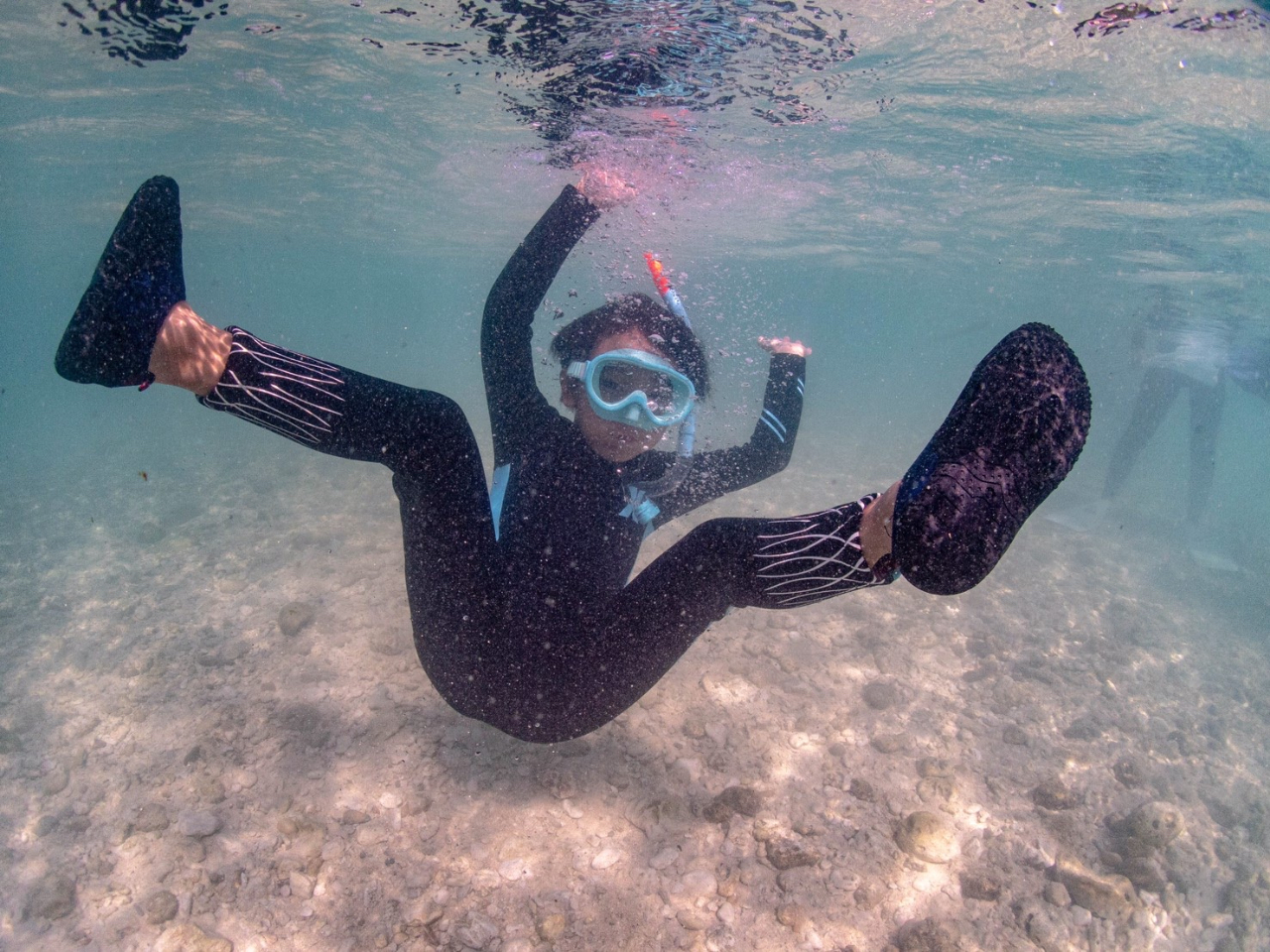 �y�����ʐ^�������ς��B��܂��傤�I