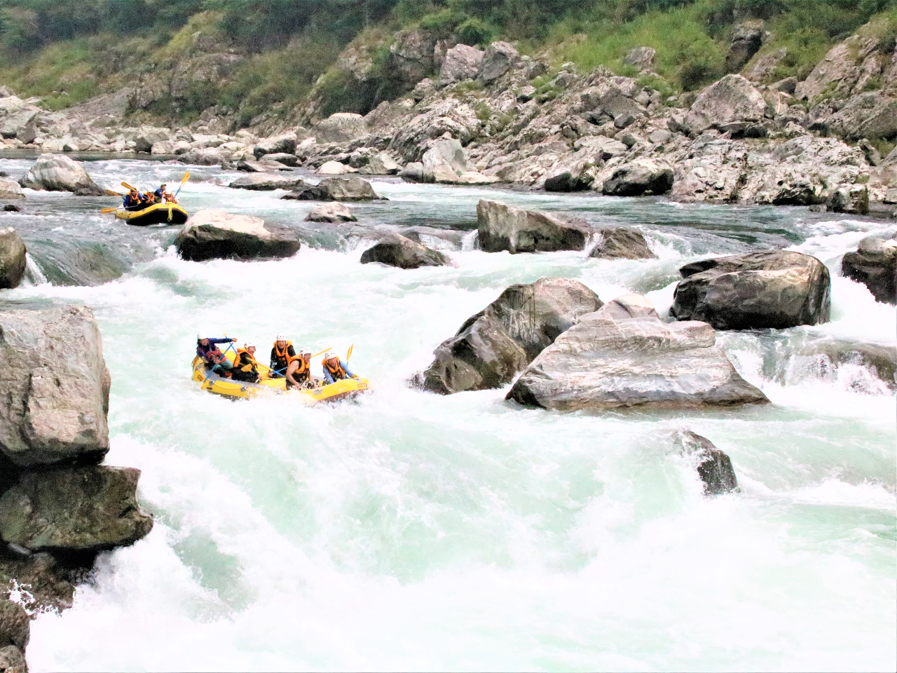 ߌ̃R[Xg̃CI{̌|Ȃǂ̐B