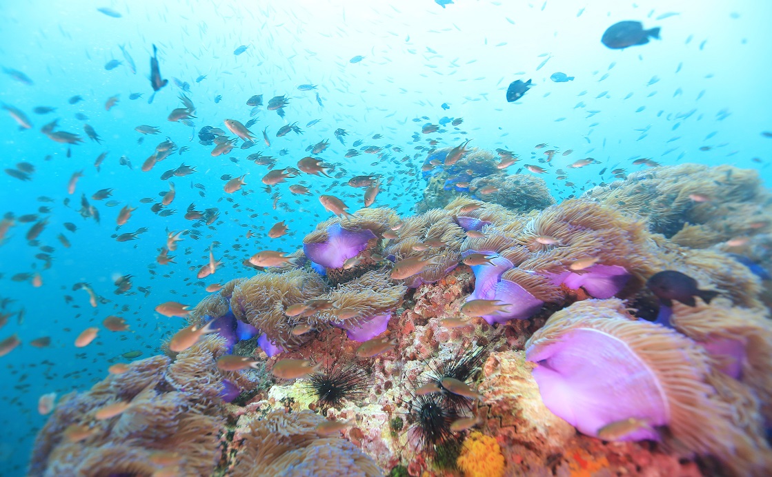 初心者も大歓迎です!