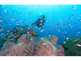 まだ見ぬ世界へ旅に出よう!