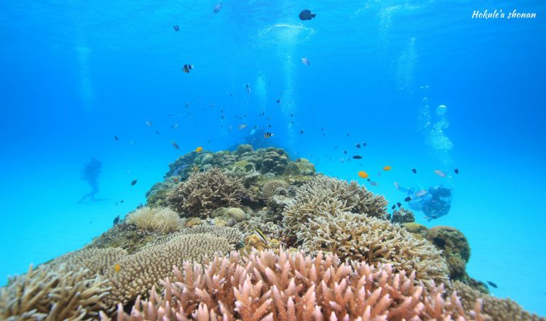 沖縄・渡嘉敷島 海が青〜い:-)