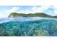 沖縄・西表島の素晴らしい造礁サンゴ
