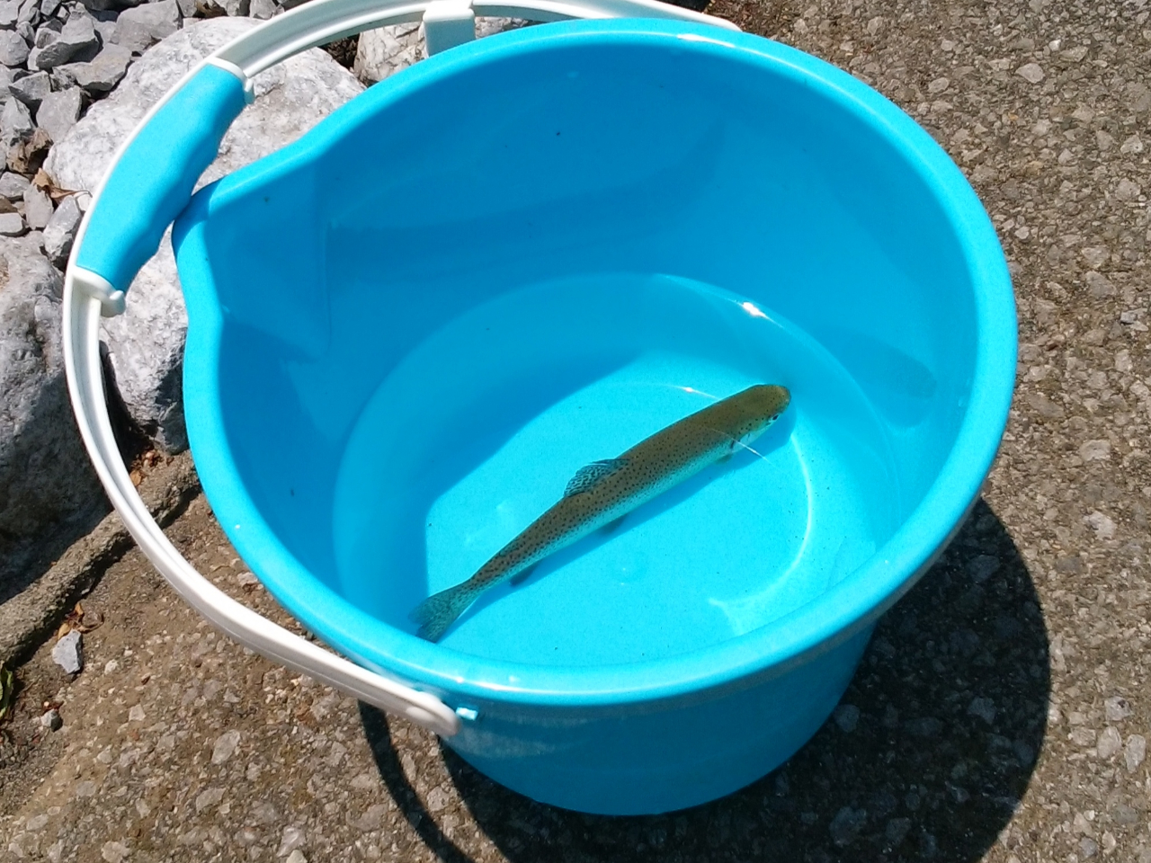 ނꂽoPcɓꂽƂBCɉjł܂I