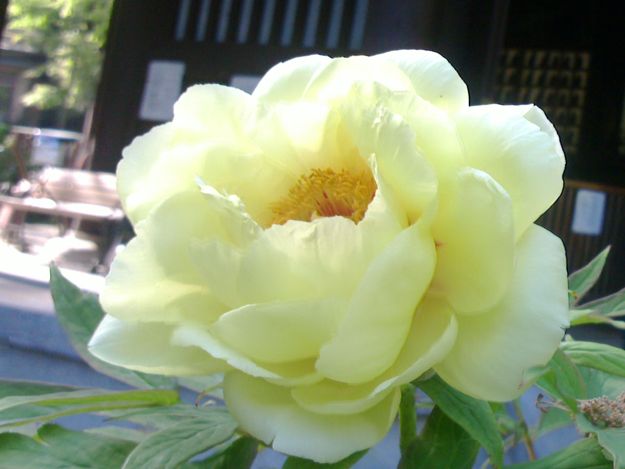 ���O���@�t�Ɋ֘A���ĐA�����������O�̉�