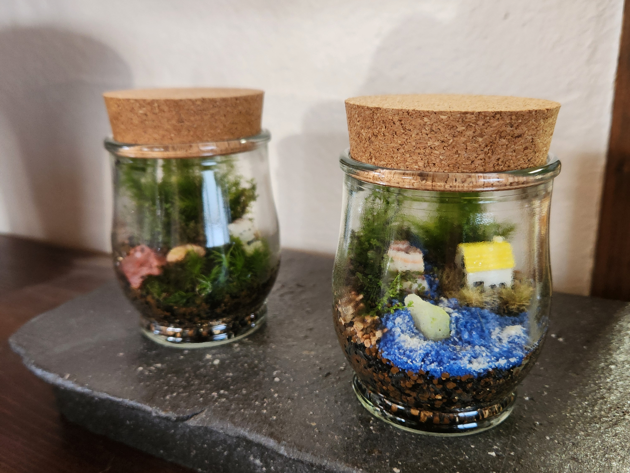 1JẪRPEX^[gB]͂̕db⃁[ɂĒڂ⍇B