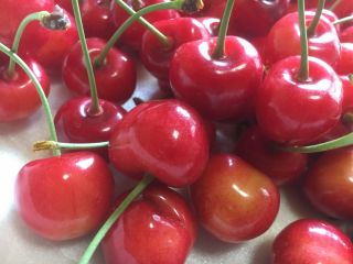 山形 山寺 園内さくらんぼ狩り食べ放題 山寺名物力こんにゃく1本付き うぐいすの宿観光果樹園 じゃらん遊び体験 山形 山寺 園内さくらんぼ狩り食べ放題 山寺名物力こんにゃく1本付き うぐいすの宿観光果樹園 じゃらん遊び体験