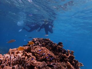 初めての方もインストラクターがサポートするので安心・安全