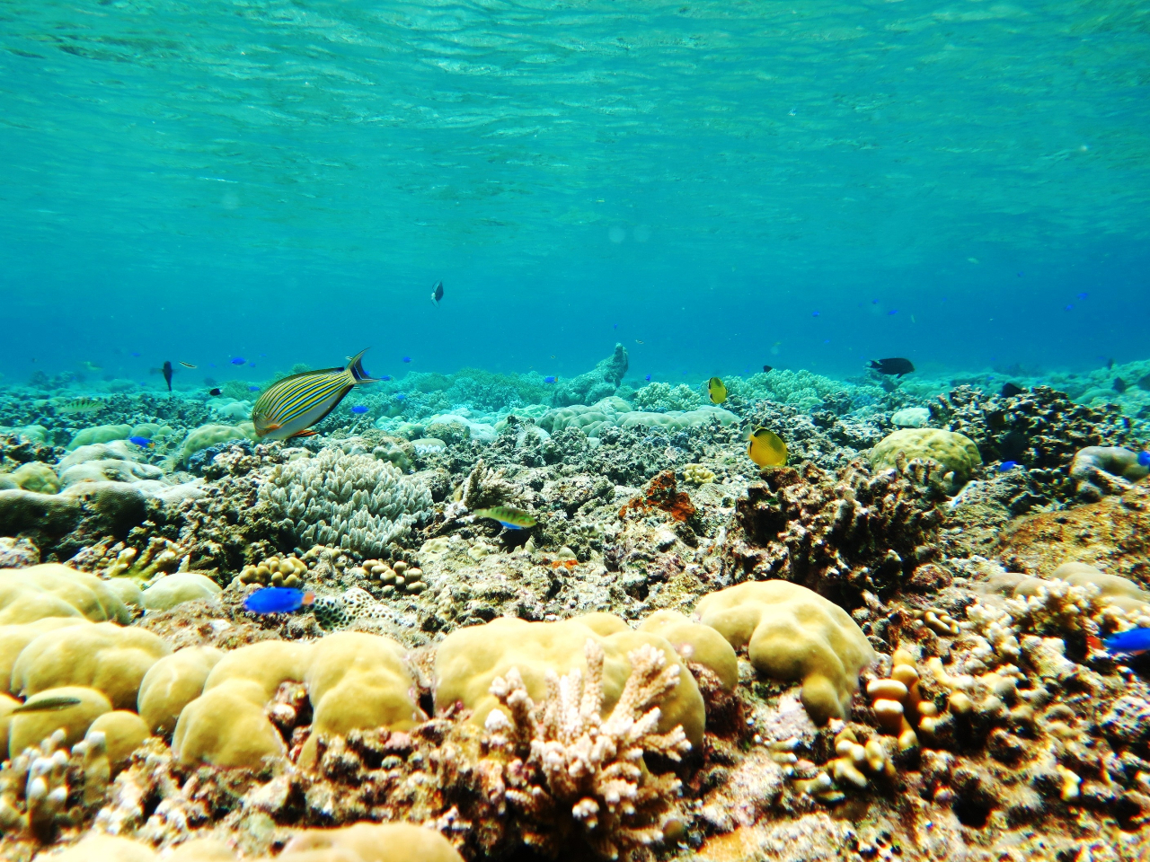 �������i