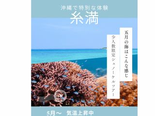 初めての方も糸満スノーケルガイド業界歴20年以上のインストラクターがサポートするので安心・安全