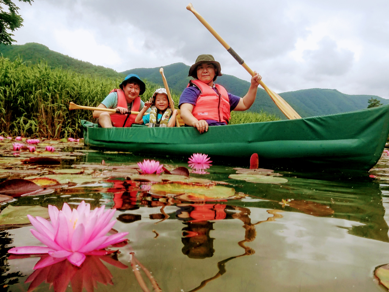 睡蓮のお花畑までお散歩!