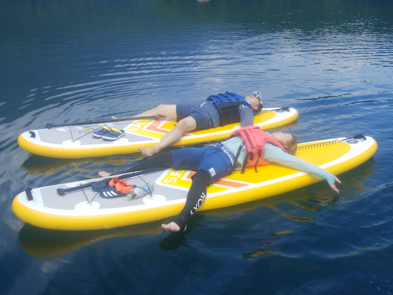 SUP̏łQ`EE͂ꂪC`oCł