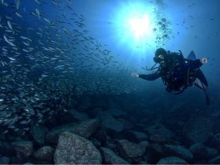 まずはダイビングに関する不安や質問など当店インストラクターに何でも気軽にご相談ください。