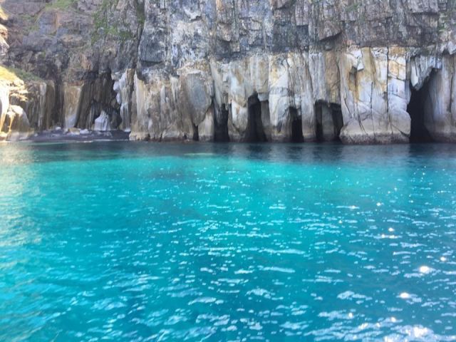 Diving shop SeaLand うぐるのプラン一覧