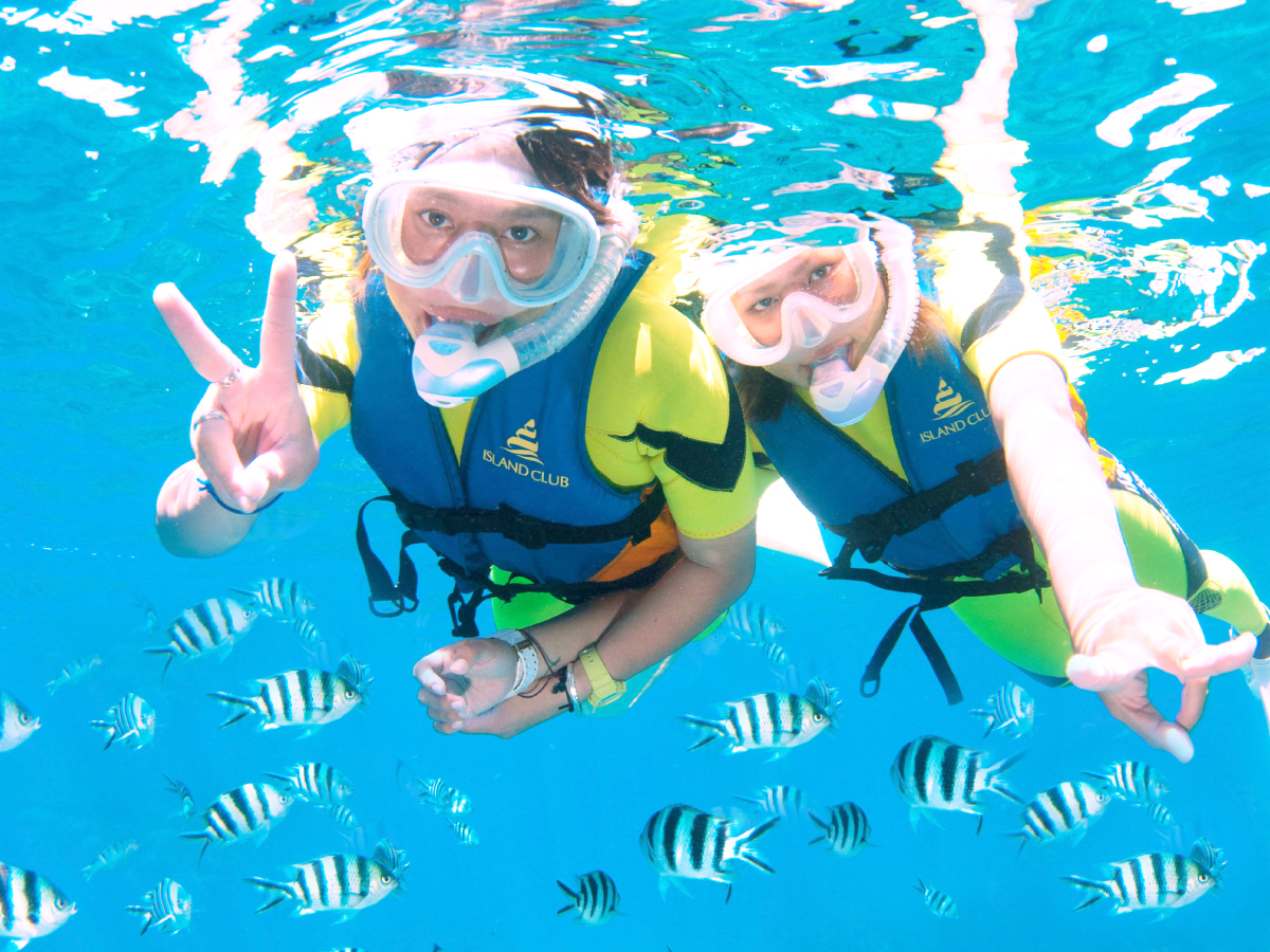 �����ӏ܃v���O�����t����