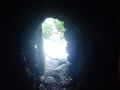 ほら穴へ探険! 中はどんなのかというと?