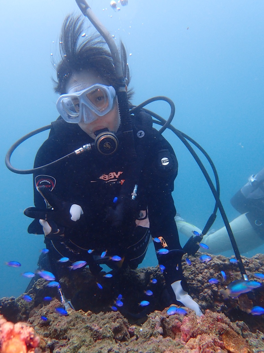 ポッコリ小島ボートプラン 初心者歓迎 ♪秋からのダイビングベストシーズンで熱帯魚...