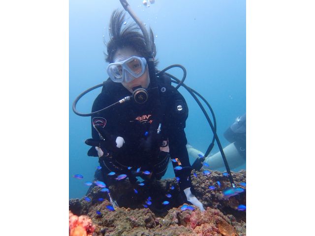 サンゴと熱帯魚が満載!!!!