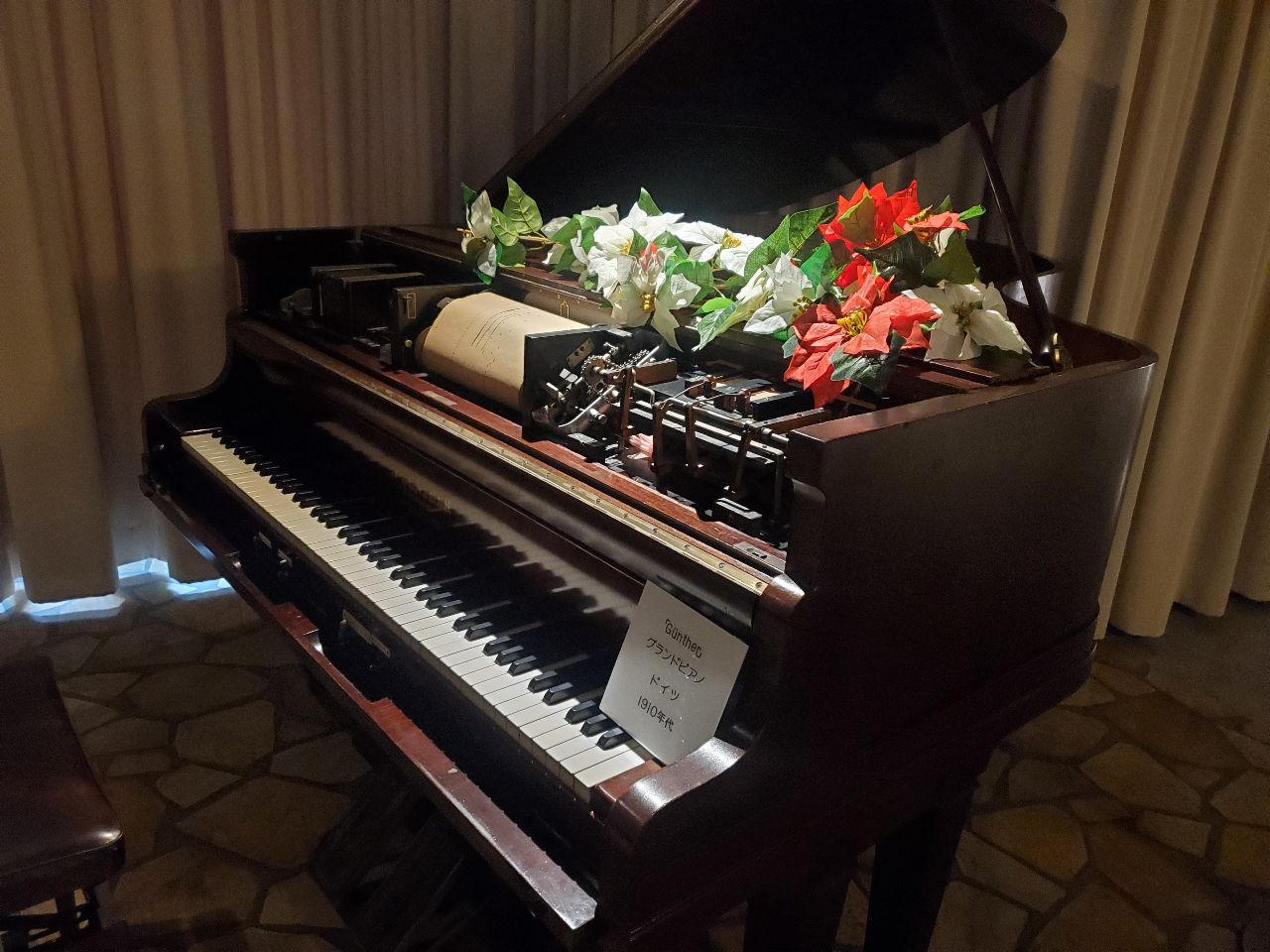 �z�[���O�O�����h�s�A�m