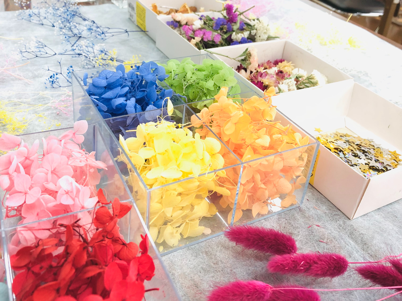 新しい花材も随時入荷しています♪四季折々のハーバリウムもお楽しみいただけます!