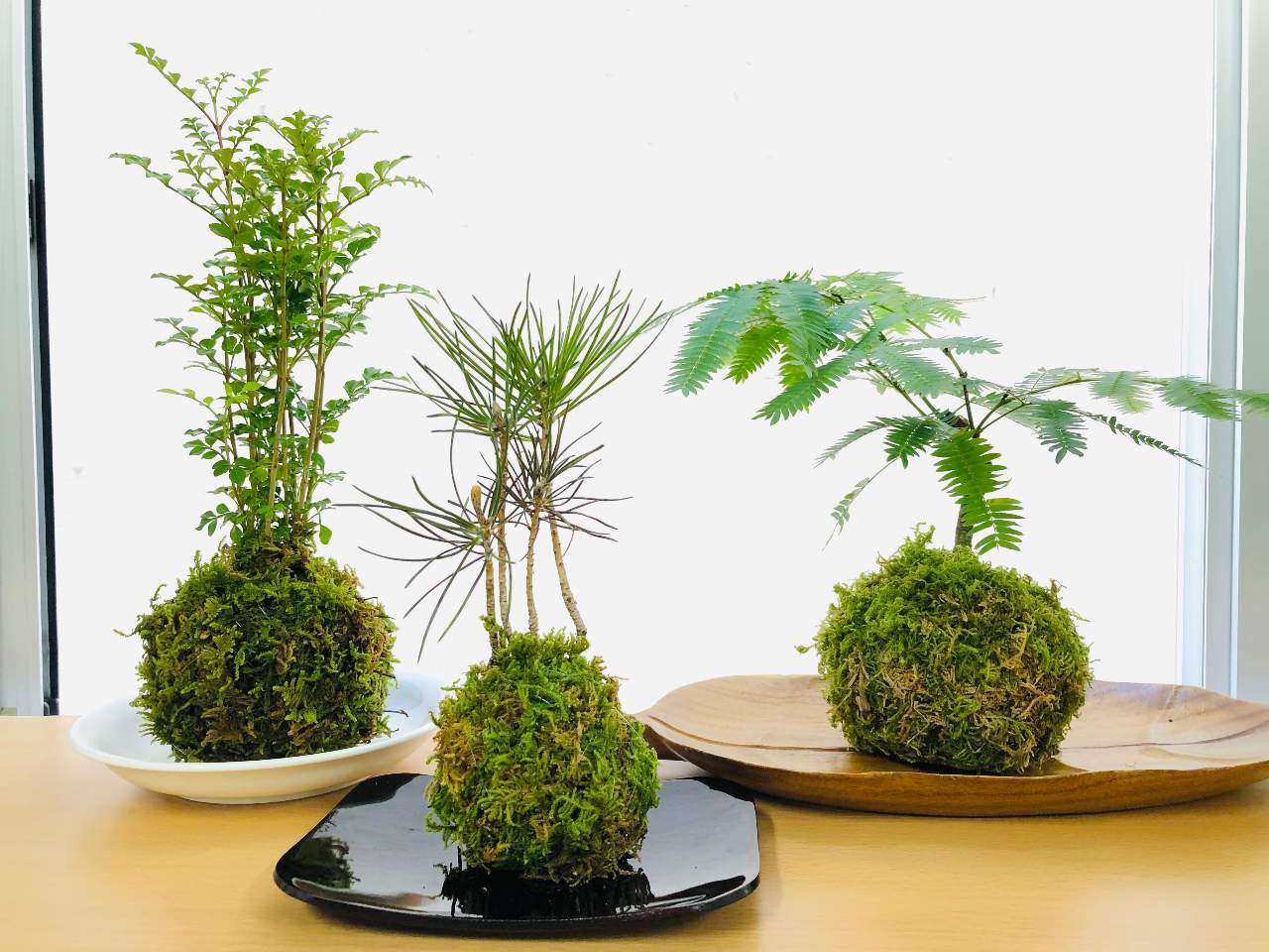 RƂĉۋʁ􂨎ȒPŖʔQł