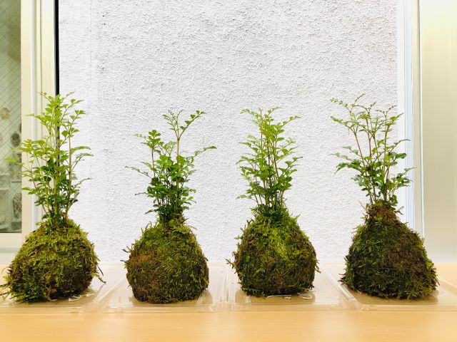 カップルさんのご参加も多いレッスンです♪男性の方や外国人の方も作られています!お子様にも楽しい体験です