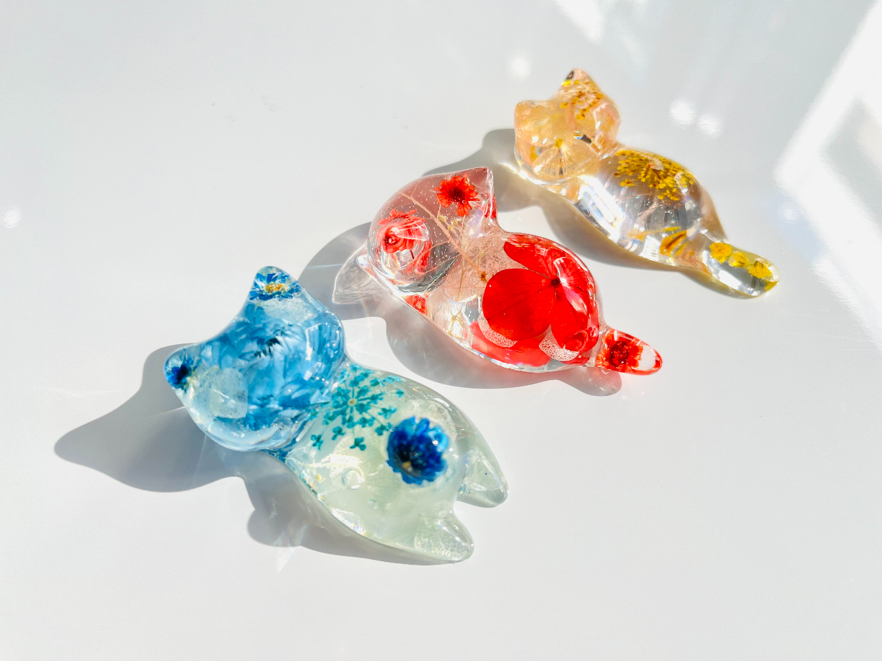 ǂ猩Ă킢炵tHł(^^