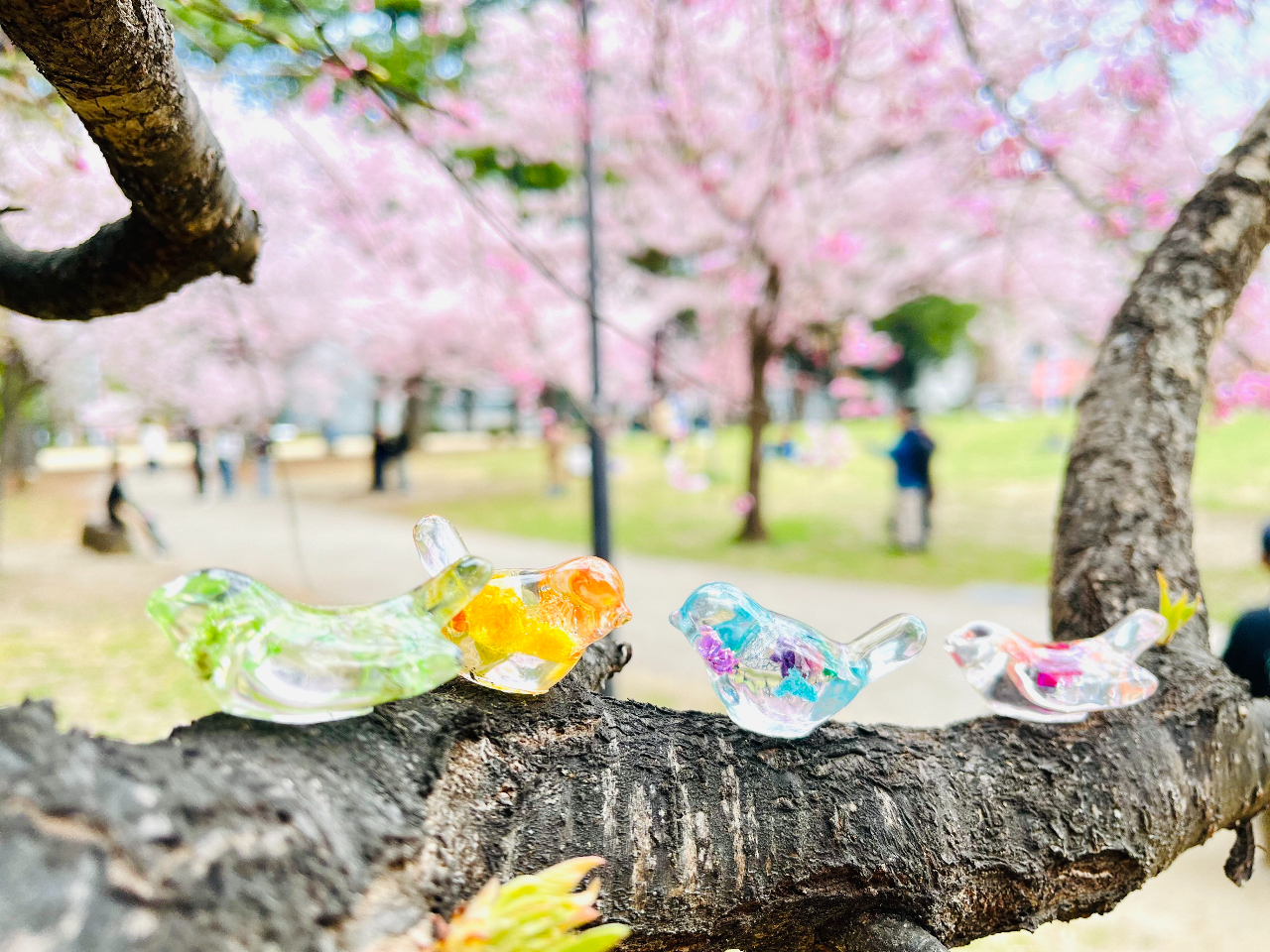 お家だけじゃもったいない!お花見やお気に入りのカフェにも連れて行ってください♪