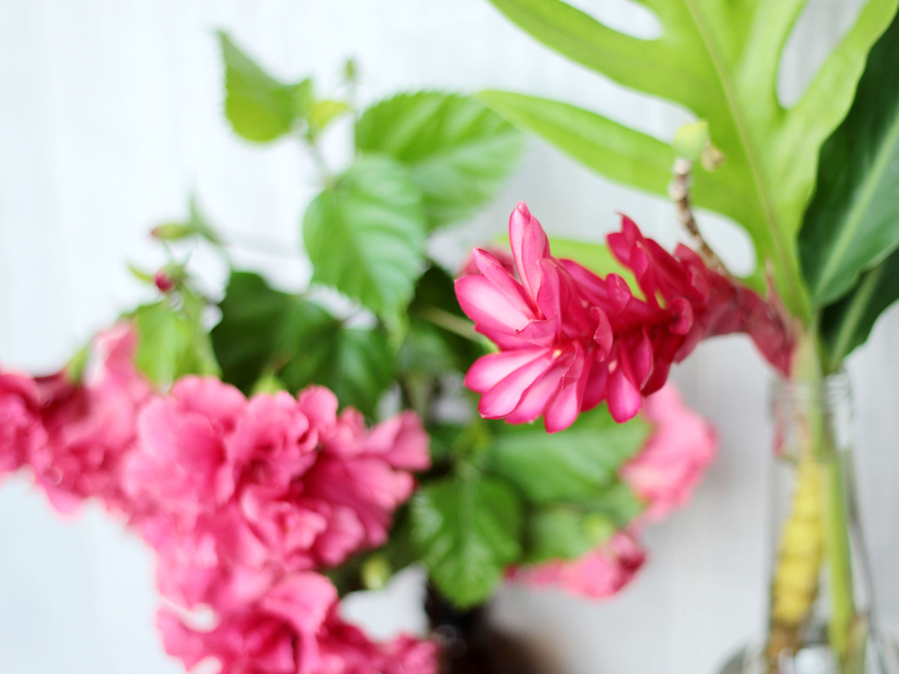 Xɂ͉؂₩ȓ썑̉ԁXo}