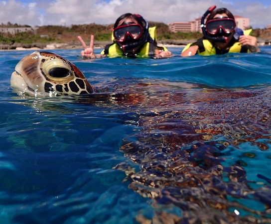 CTƑ킹āB@ȊpxAʐ^B낤I