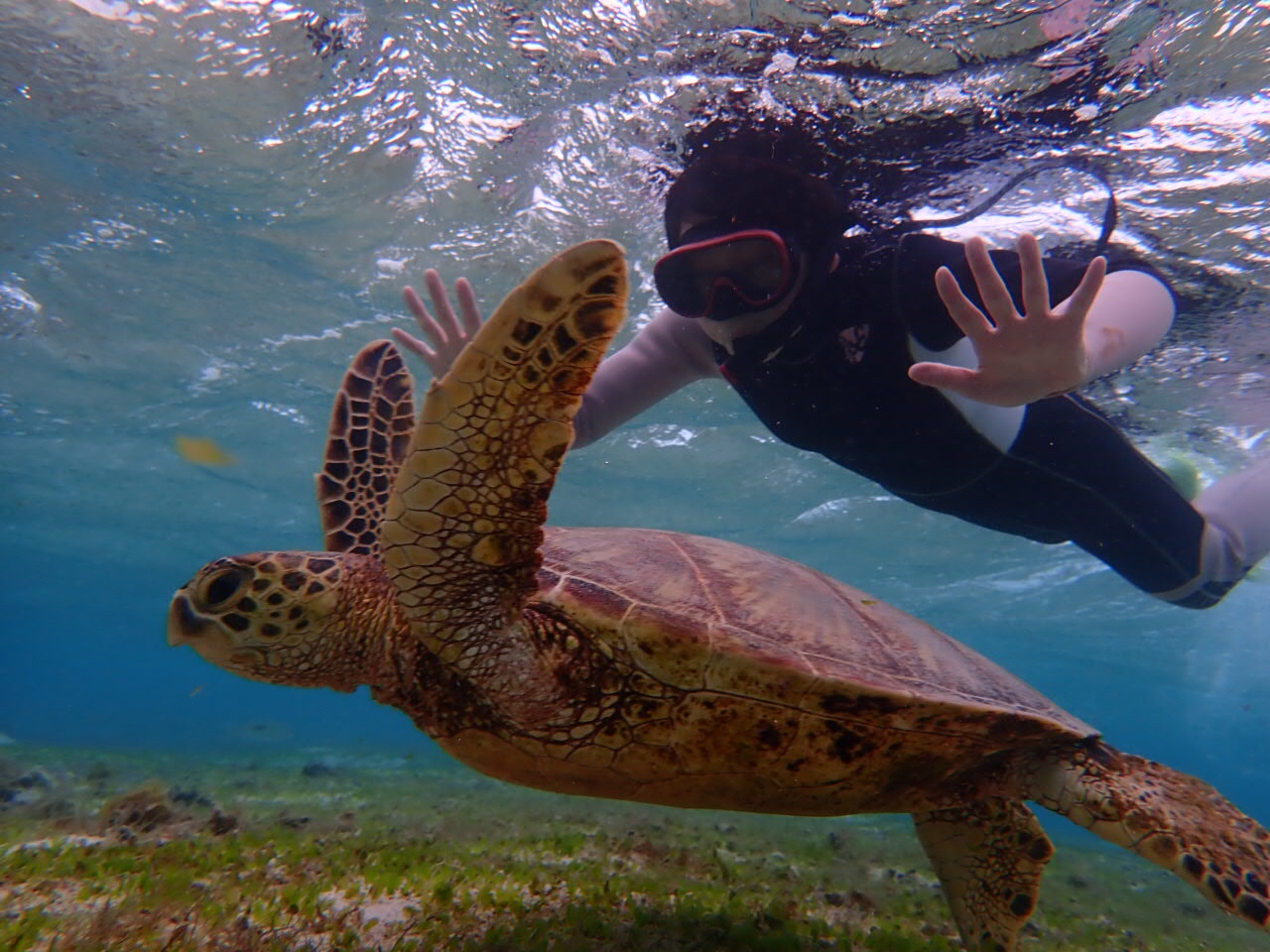 Ȃɋ߂ŃE~Kł!ʐ^⓮f[^͑Săv[gv܂I