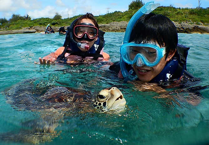 沖縄宮古島】2008年～営業中！泳げなくてもOK！海亀と過ごす特別な
