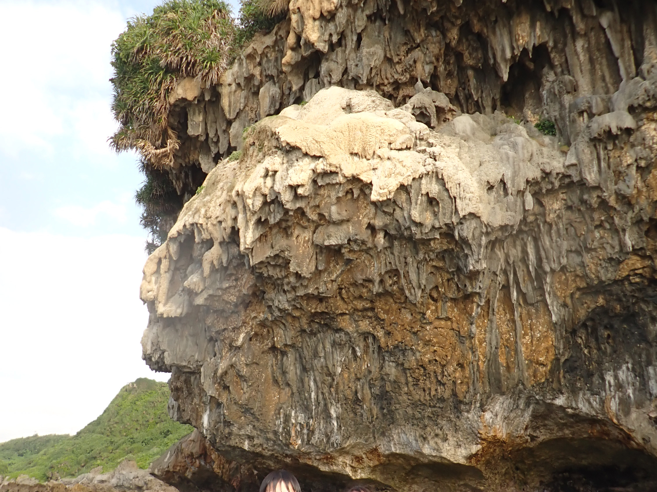 {Ó̃p[X|bg𔧂Ŋ悤