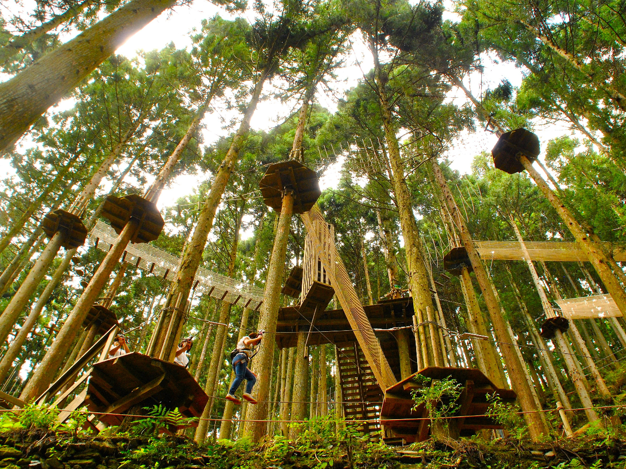 R[X5R[XAύPQ̑31ނ̃AX`bN܂B