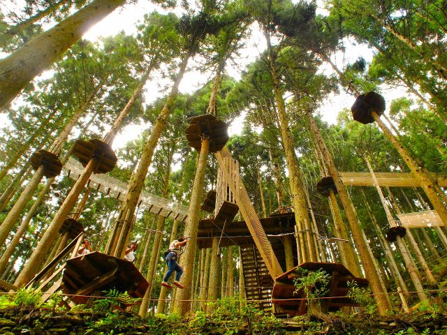 コース5コースあり、平均高さ12mの足場に31種類のアスレチックをやります。