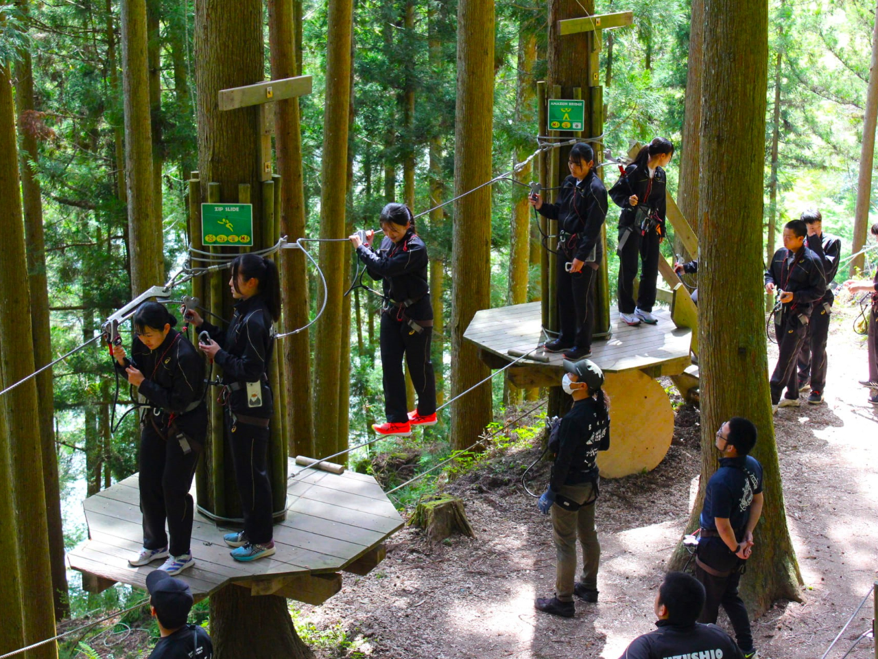 S҂łSIgKR[XŁAX^btɊmFĂ{R[Xɍs܂B