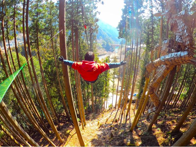 最後のロングジップのスタートは、森の中。森から出ると一気に視界が広がり、最高の景色を楽しめます。