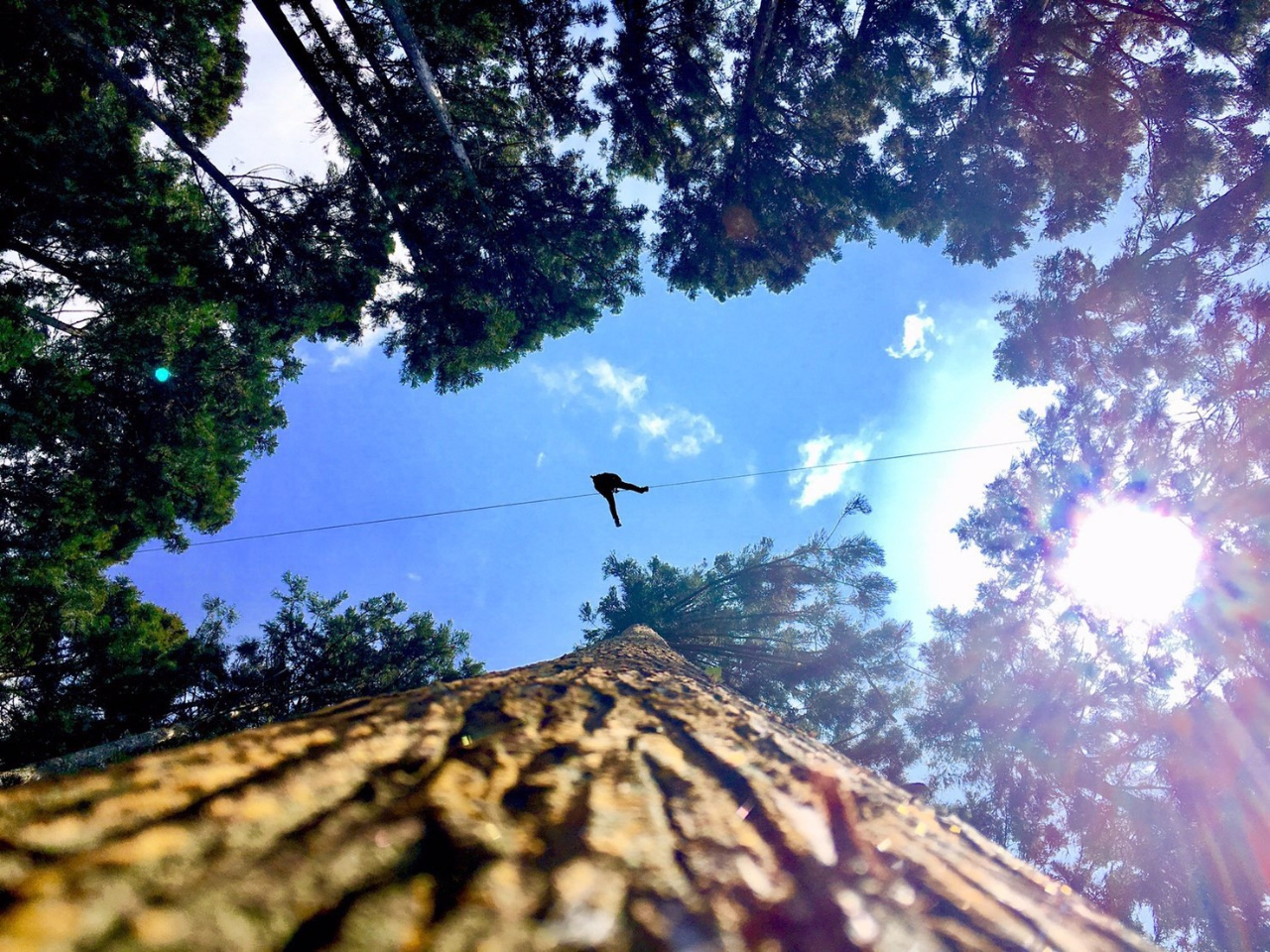 ؁X̊Ԃ؂̐^łóA܂ɒ̂悤II