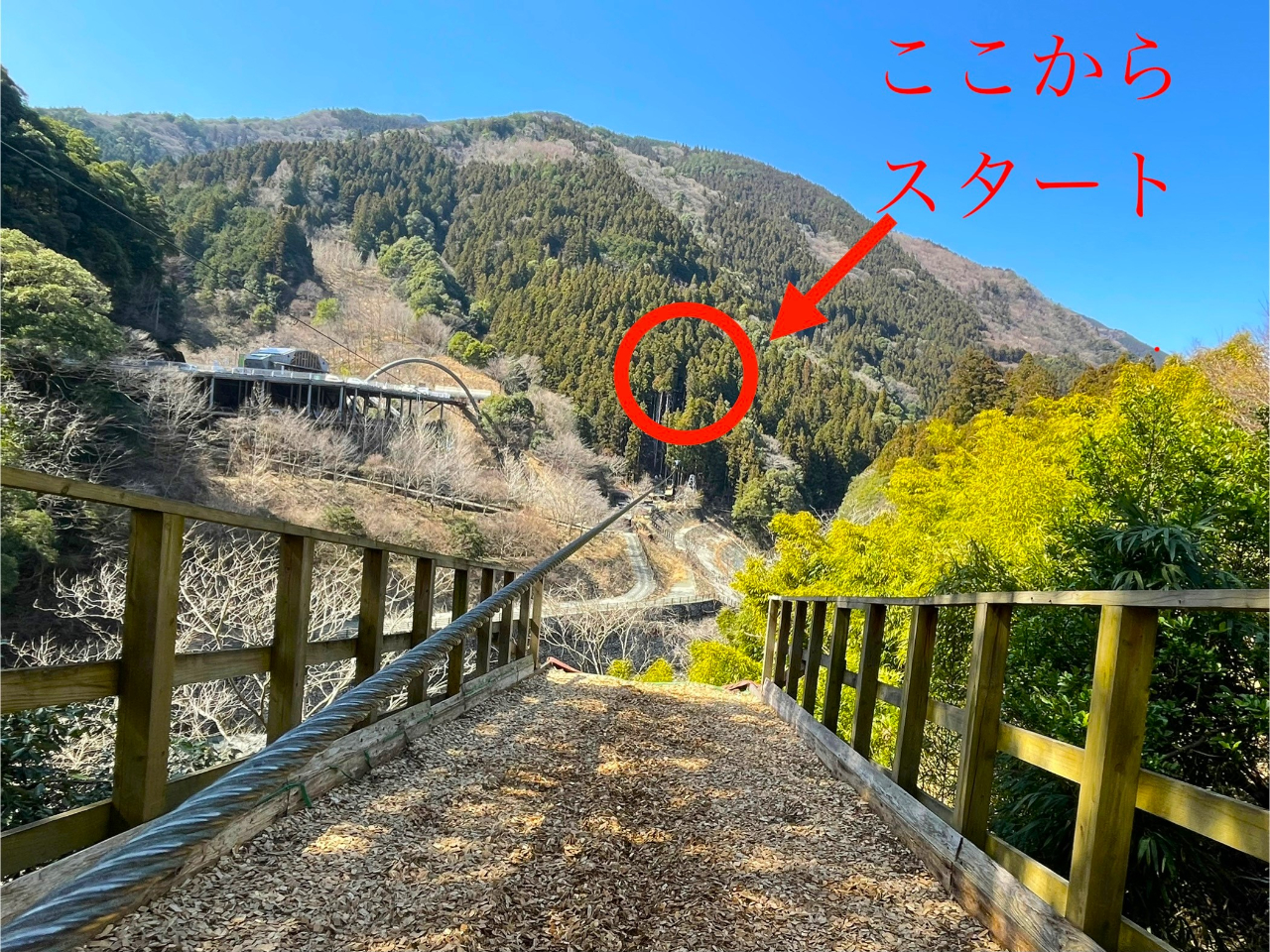 oȂłHIVCƌiF͂قƂɃLCȂłII