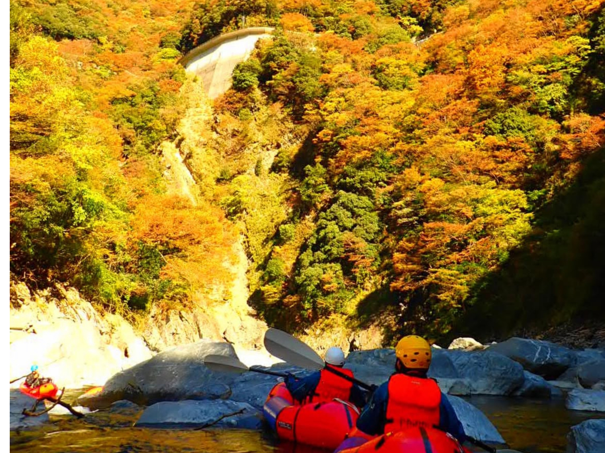 紅葉時期の秘境祖谷川の絶景を楽しもう