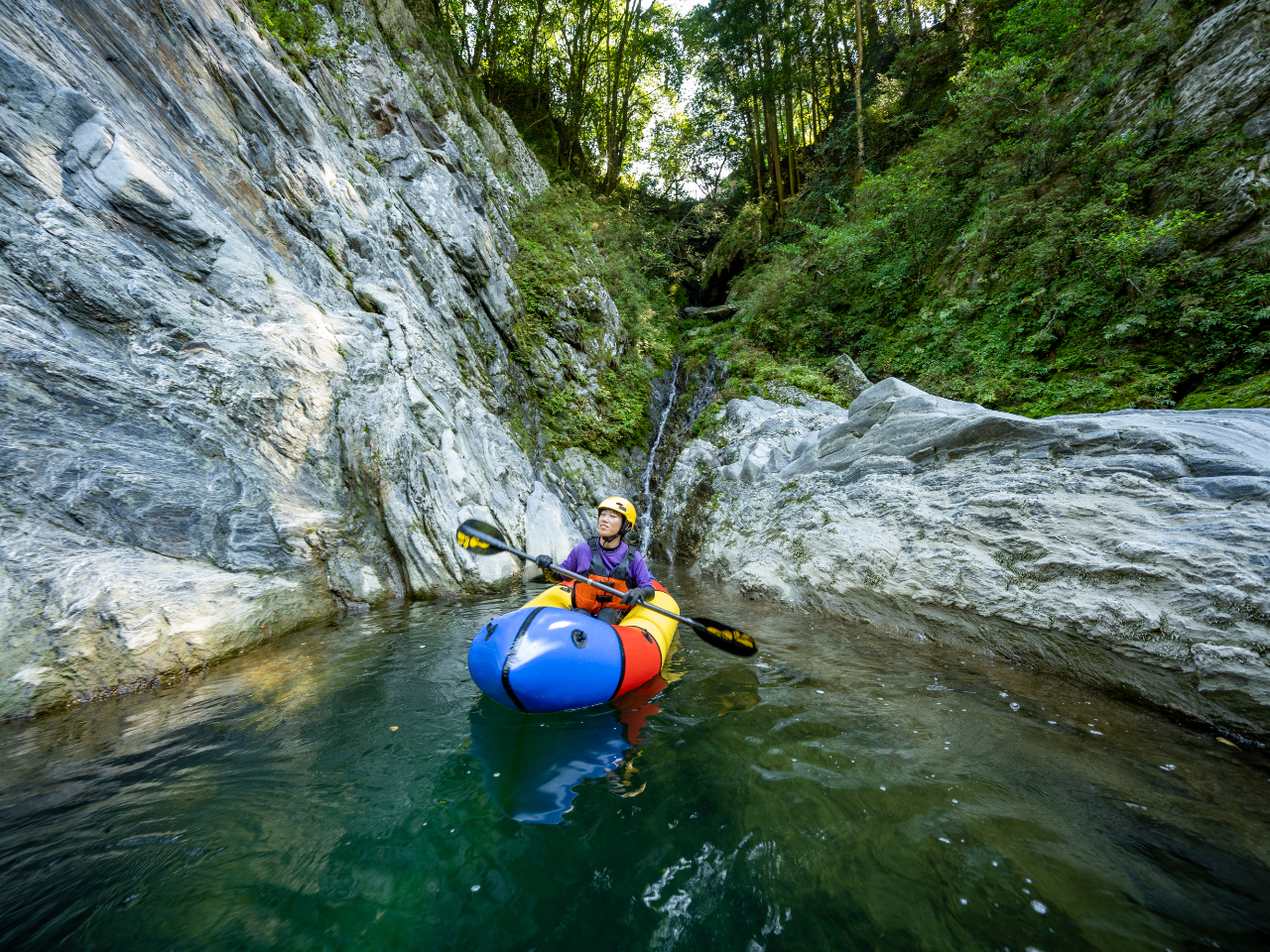 ��̏ォ�炵������Ȃ��鋫�̑��i�����y���݂��������܂���