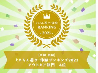 祖谷渓を越える大迫力のキャニオンジップスライド!!木のトンネルを抜ければ美しいエメラルドグリーンの川の上空をひとっ飛び♪