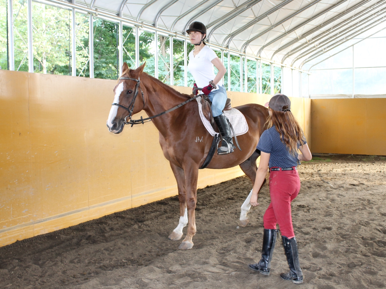 【初心者歓迎】札幌市内の本格派乗馬クラブで乗馬体験