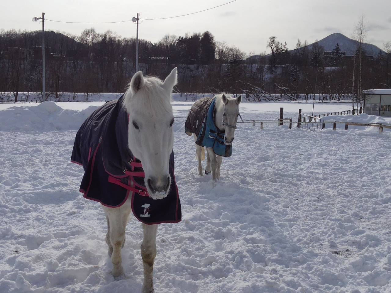 いつでも待ってるよ!