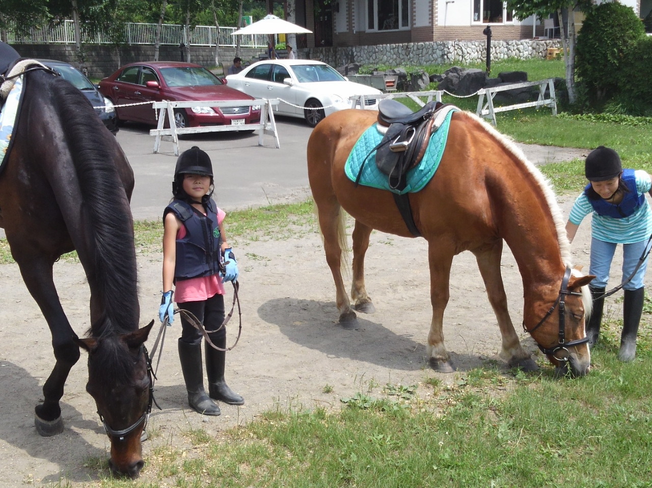 これが道草(^^♪