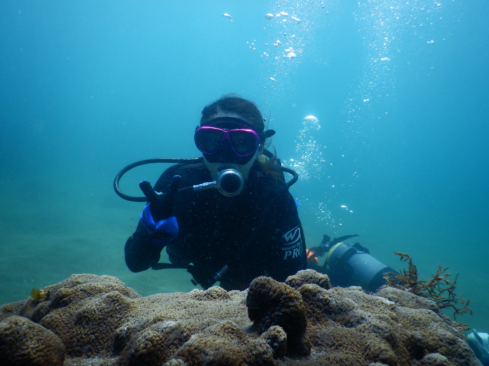 体験ダイビング!