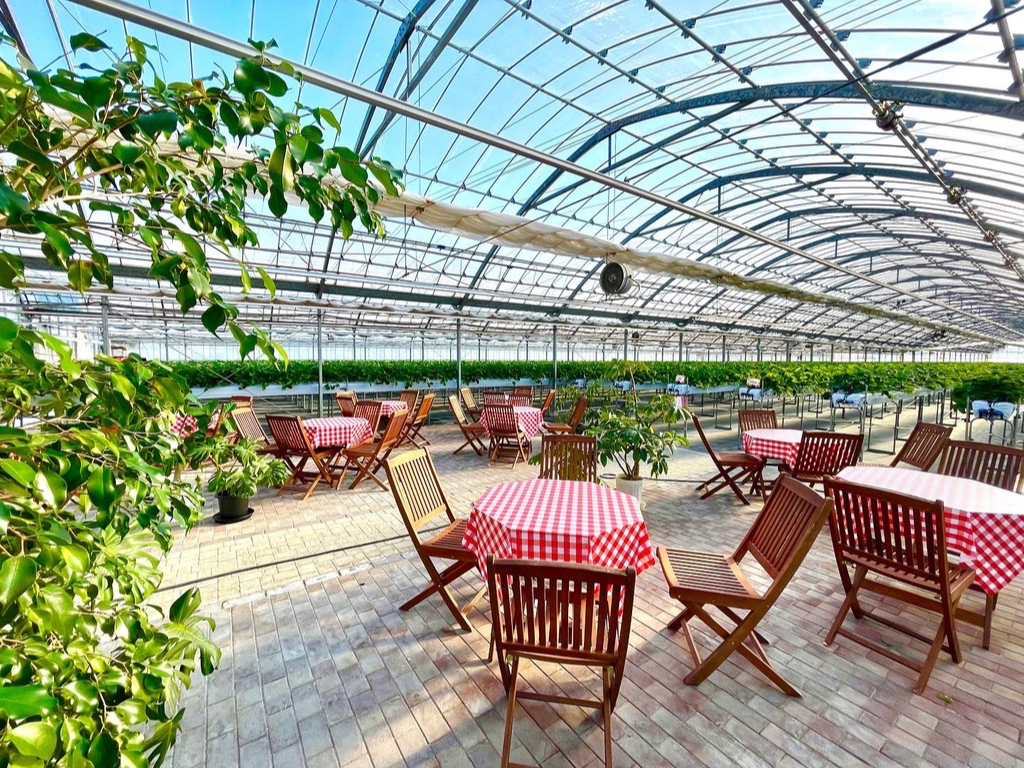 130席のテーブル席完備！ゆったりといちご狩りをお楽しみいただけます♪