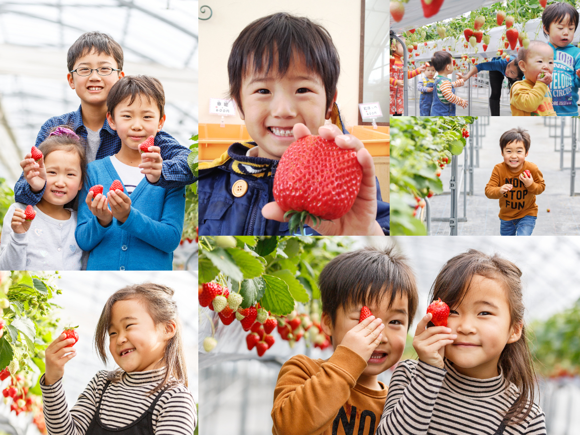 ���q���܂��Ί炪�����ς��喞����