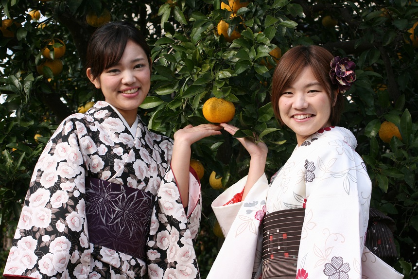 萩と言えば、夏みかん。お店から徒歩1分のところに夏みかんの公園があり、ここも押さえておきたいフォトジェニックポイント♪