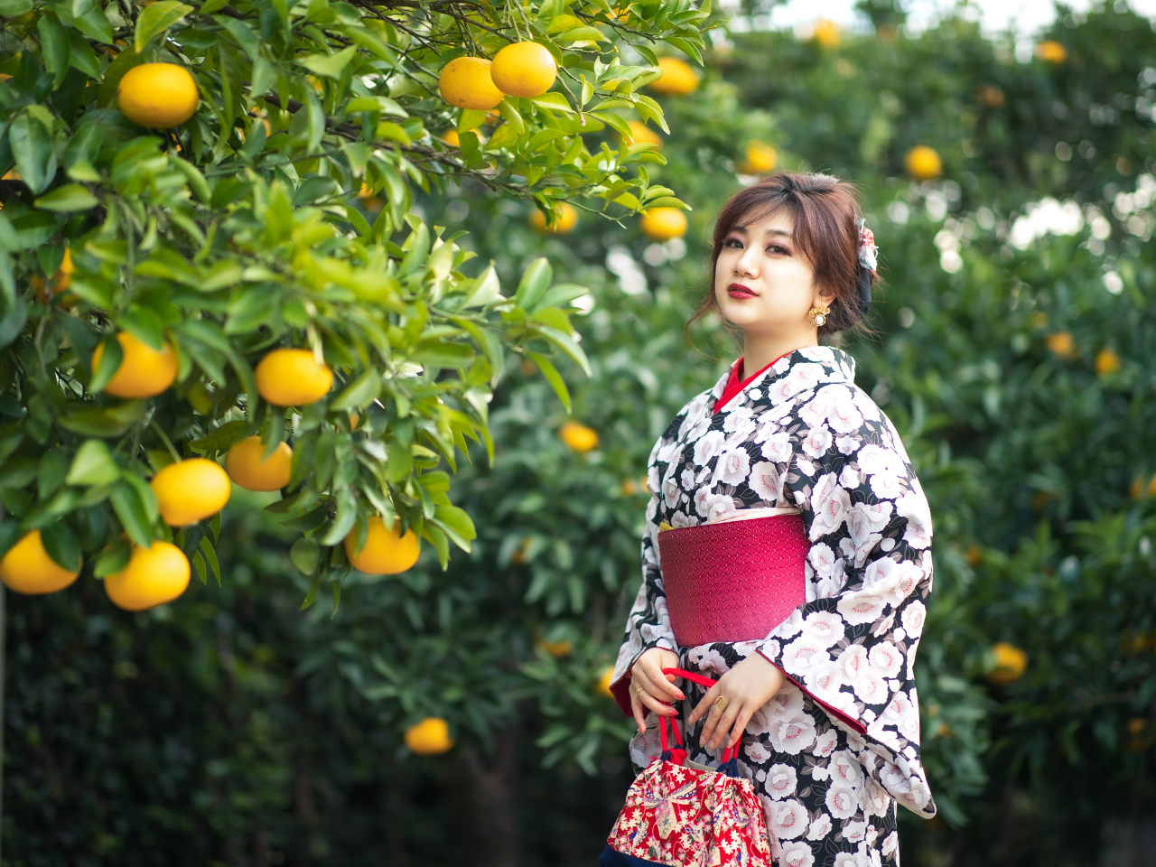 ƌ΁AĂ݂BĂ݂̌͗N12`3B鉺E]ˉBk1B